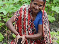 Vegetable Garden