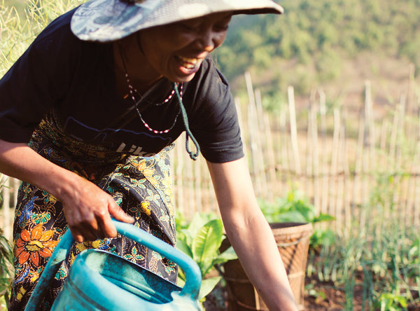 Small-Scale Irrigation
